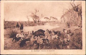 Carte poștală austro-ungară, 1918, Feldpost 537, circulată Anina, Primul Război Mondial