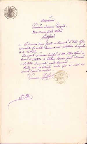 Certificat de cetățenie română, anii 1880, județul Vaslui