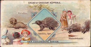 Joseph Küfferle & Co, Fabrique de Chocolat, Vienne, ante 1911, reclamă pe carton