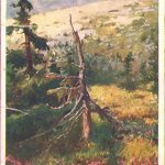 Carte poștală austro-ungară, 1918, cu ștampilă k.u.k. Etappenpost Radom și cenzură militară, Primul Război Mondial