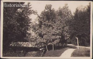 Clișeu Craiova parc pentru carte poștală