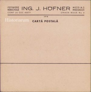 Carte poștală tipizat Pepiniera Hofner Mediaș interbelică