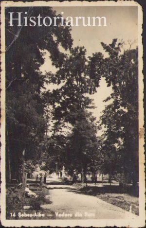 Sebeș - Alba, Vedere din parc, carte poștală