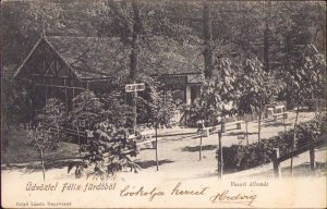 Salutări din Băile Felix - Gara 1905, carte poștală
