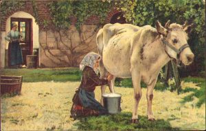 Carte poștală austro-ungară, 1915, cu ștampilă k.u.k. Reservespital Vârșeț, circulată Deta, Primul Război Mondial