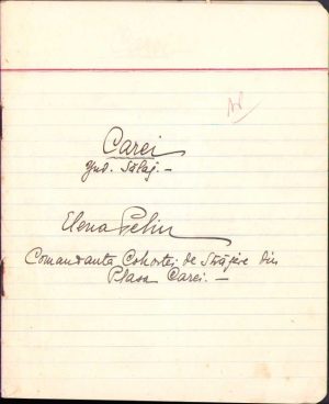 Scurtă monografie a orașului Carei, județul Satu Mare, 1940, de Elena Peliu, comandanta cohortei de străjere din plasa Carei