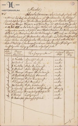 Copie de epocă, 1862, dată la Oradea după absolutoriul din 1852 al lui Teodor Pop, limba maghiară