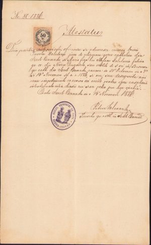 Vestire căsătorie, 1886, Cenad, județul Timiș