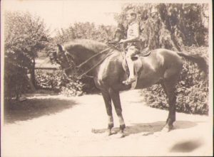 Cal de rasă