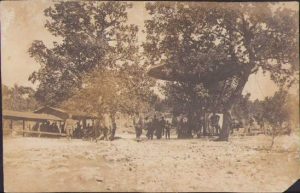 Militari austro-ungari în scrânciob