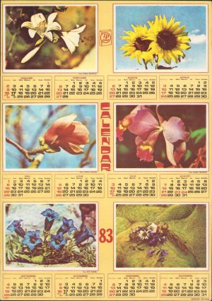Calendar, 1983, Întreprinderea Poligrafică Cluj
