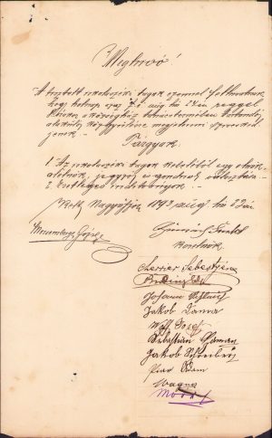 Lot de 15 acte, 1893-1895, Tomnatic, județul Timiș
