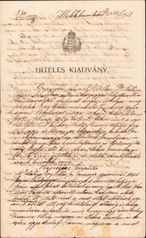 Act legalizat, 1919, Timișoara