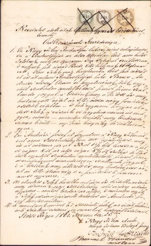 Contract vânzare-cumpărare, 1862, Reghin, județul Mureș
