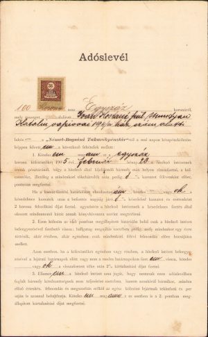 Act de vânzare, 1904, Bocșa