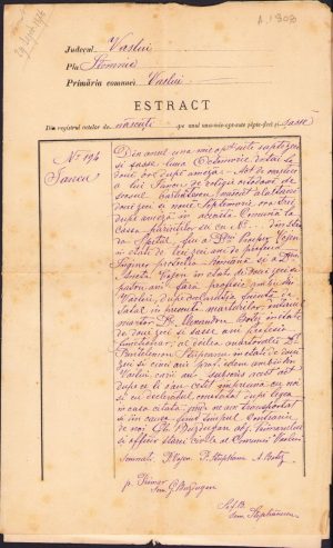 Extras registru născuți și recipisă, 1876, Vaslui