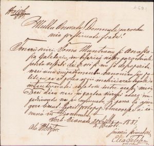 Licență de căsătorie, 1881, Cenad, județul Timiș