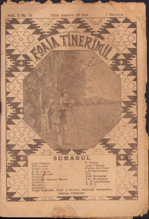Foaia Tinerimii, 15/1919
