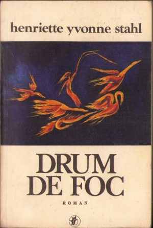 Drum de foc de Henriette Yvonne Stahl, 1981