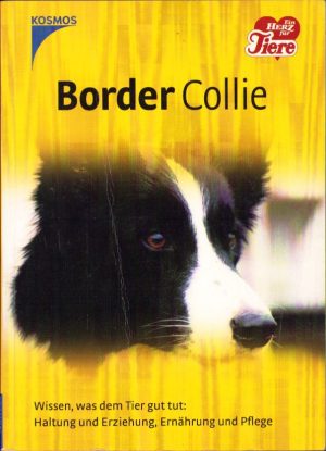 Border Collie, Wissen, was dem Tier gut tut, Haltung und Erziehung, Ernährung und Pflege