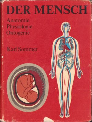 Der Mensch, Anatomie, Physiologie, Ontogenie von Karl Sommer, 1981