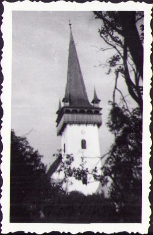 Biserica din satul Izvorul Crișului, 1965