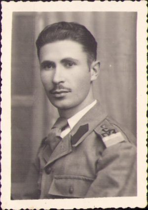 Militar român, perioada regalității