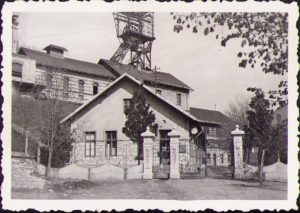 Mina Anina, anii 1930