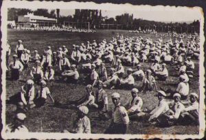 Straja Țării