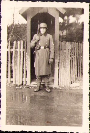 Militar german, Germania nazistă