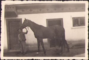 Cal, 1941, București