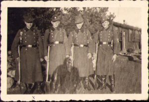Reichsarbeitsdienst, RAD, Al Doilea Război Mondial