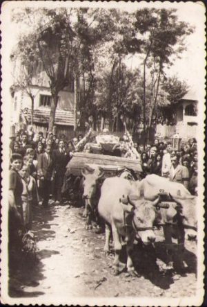 Înmormântare, sicriu pe car cu boi, România interbelică