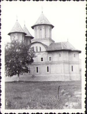 Curtea Domnească, Târgoviște, anii 1960