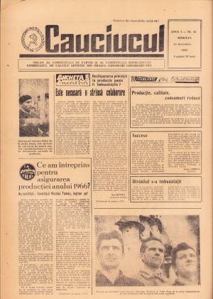 Cauciucul, 48/1965, Combinatul de cauciuc sintetic Onești, județul Bacău