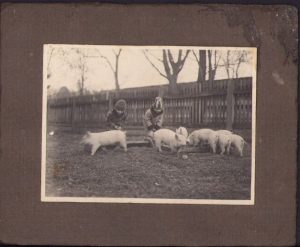 Purceluși, 1931
