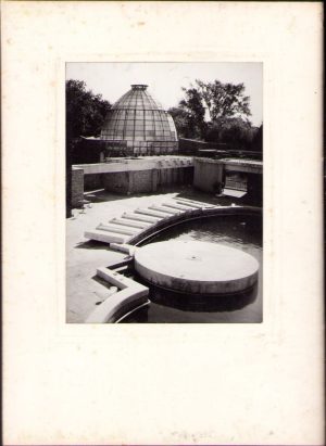 Grădina Botanică din Oradea, anii 1970