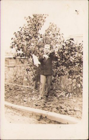 Bărbat cu vioară, Cluj, 1931