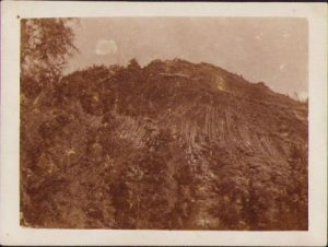 Detunata, 1931