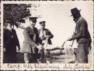 Trofeu vânătoare iepure sălbatic, 1934, Ciochina, Ialomița