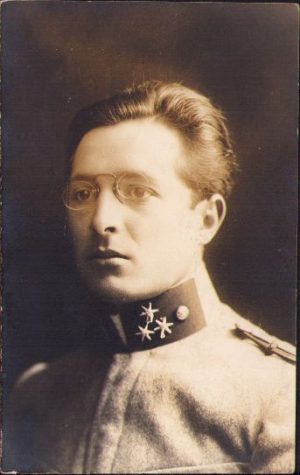 Voluntar austro-ungar pe timp de 1 an, 1916, Primul Război Mondial