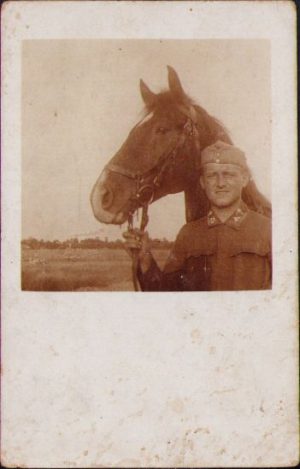 Militar austro-ungar din aviație cu cal, 1917, Arad, Primul Război Mondial