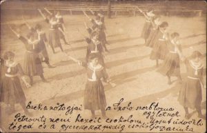 Szerb Torna Egylet, 1914