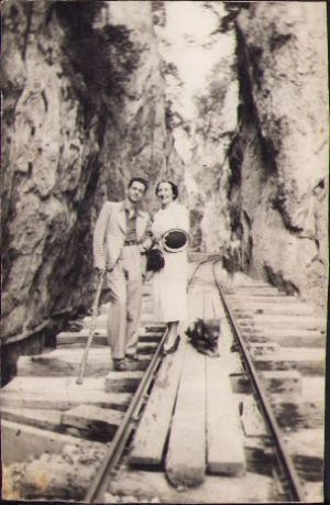 Defileul Bistriței, 1937
