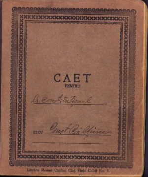 Caiet de Drept constituțional, perioada interbelică