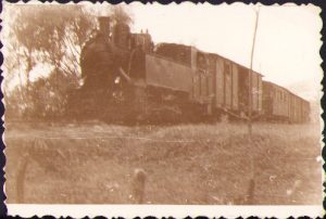 Locomotivă cu aburi cu vagoane, CFR, perioada regalității