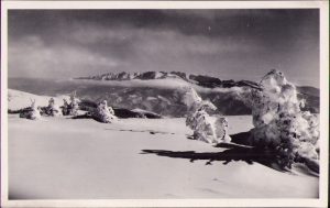 Vedere din Vârful Prejbă spre Munții Făgărașilor, carte poștală, 1942, Fischer, Sibiu