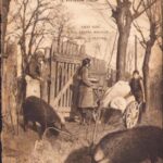 Az Erdekes Ujsag 1916