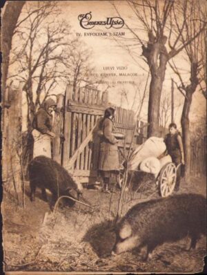 Az Erdekes Ujsag 1916