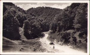 Pasul Ciucea Csucsa carte poștală